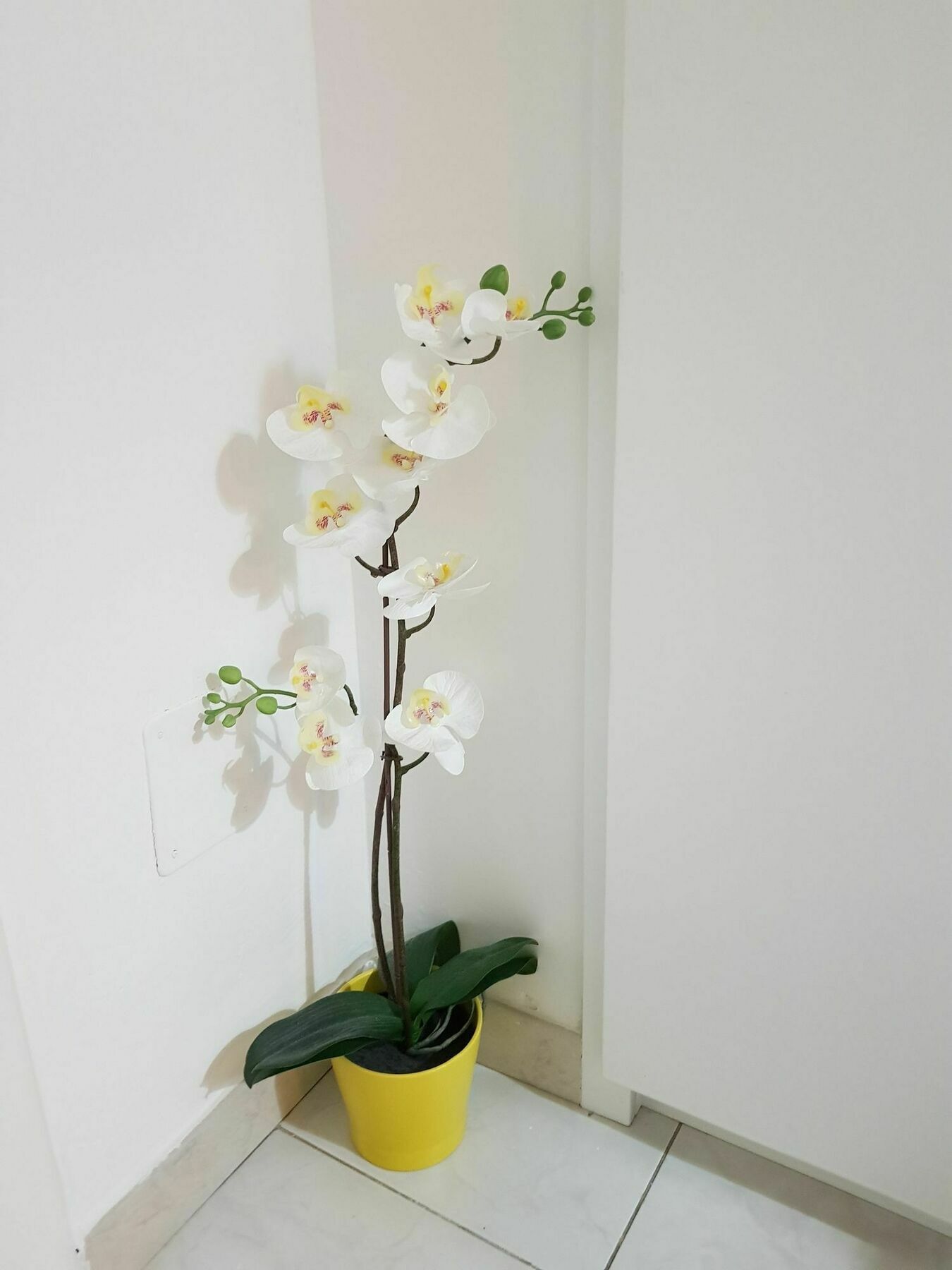 Happy Apartment Lecce Exterior foto